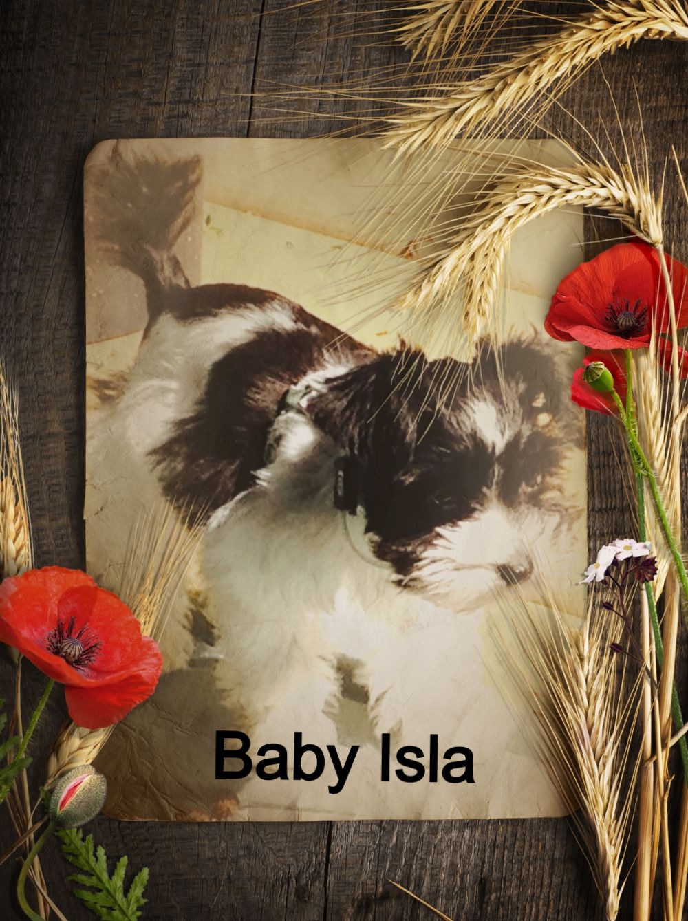 Baby Isla
